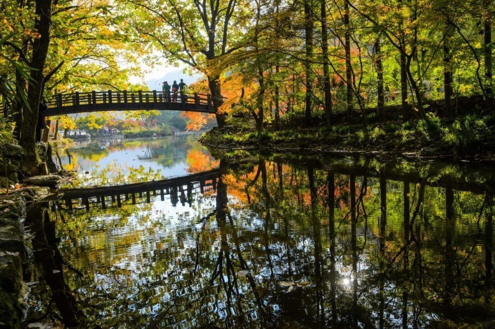autumn in korea | naejangsan national park