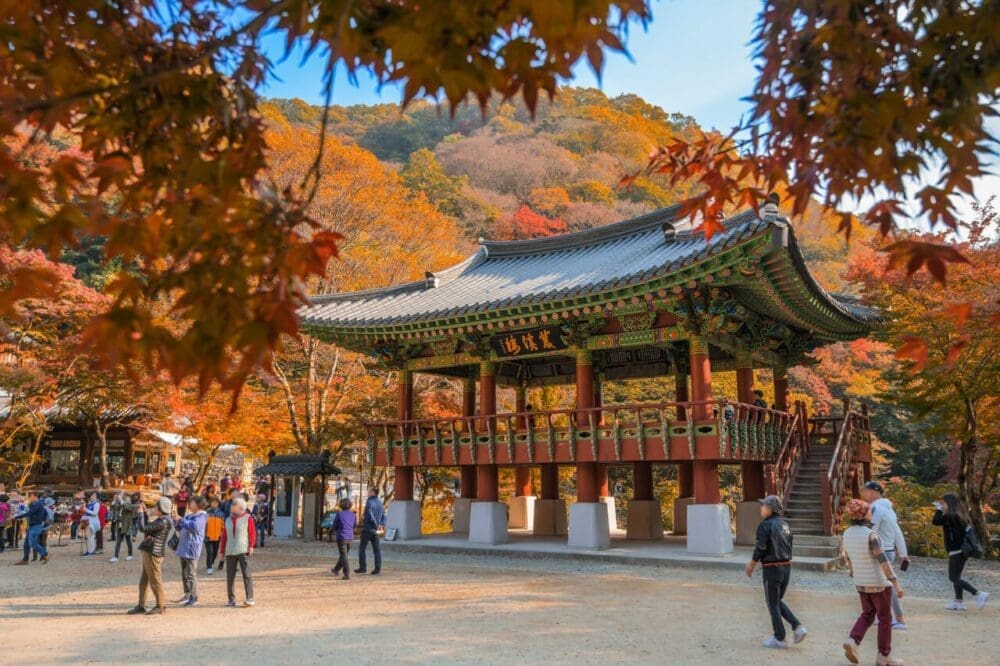 Hwadam Botanic Garden is a 4-Season Beauty, but Autumn is TRULY Dazzling 26 baegyangsa temple in naejangsan national park