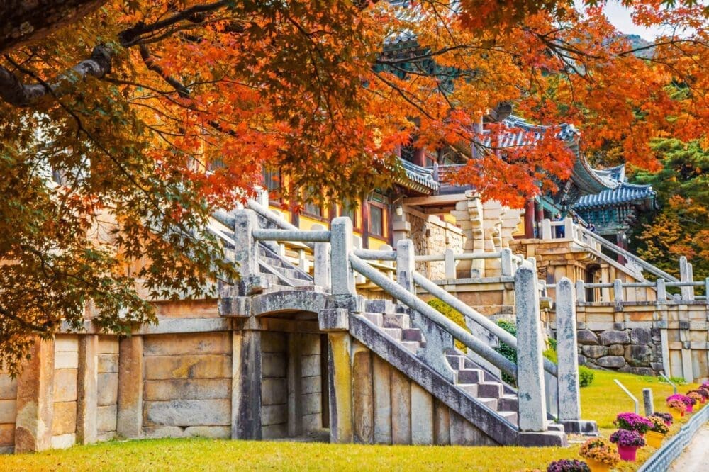 autumn in korea | bulguksa