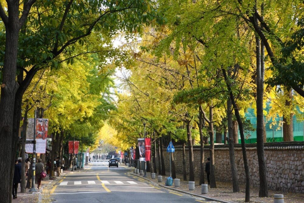 korea in september | deoksugung stone wall