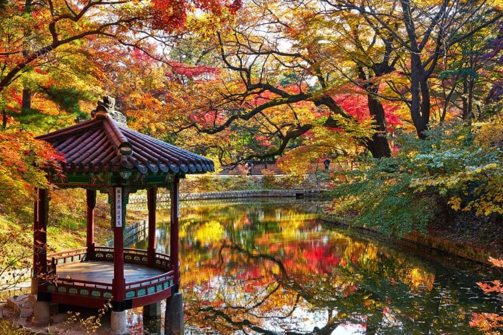 The 5 Royal Palaces in Seoul: A No-Nonsense Expat's Guide to Visiting 7 Gwallamjeong Pavilion and Gwallamji Pond surrounded by peak fall foliage inside Changdeokgung, a top highlight among the historic palaces in Seoul.