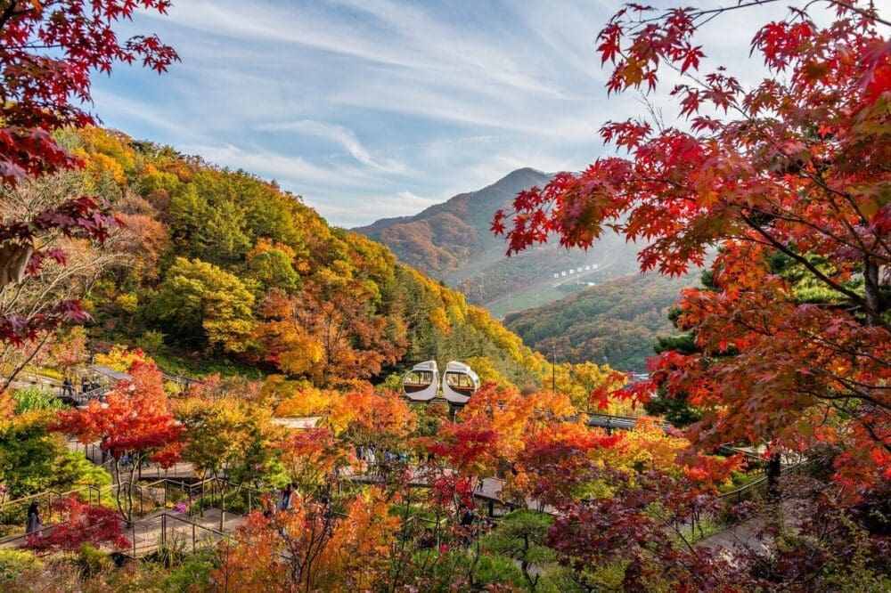 hwadam botanic garden