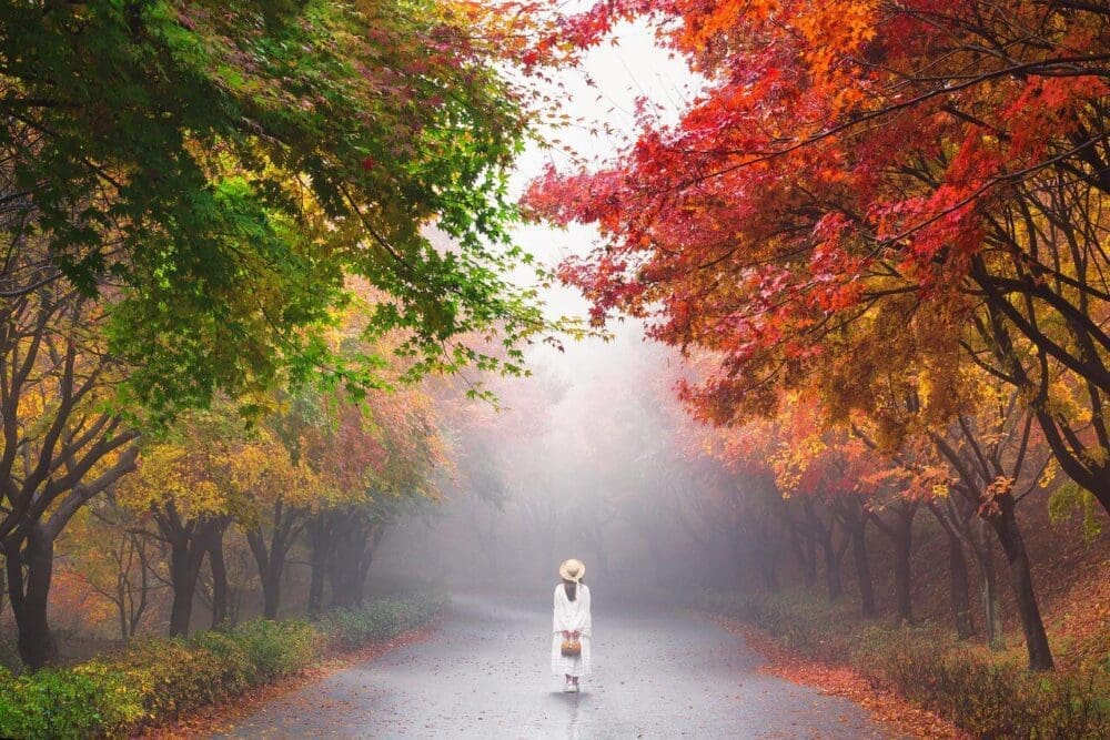 autumn in korea | independence hall of korea