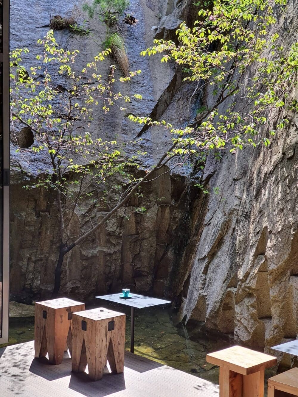 autumn in korea | the piano cafe