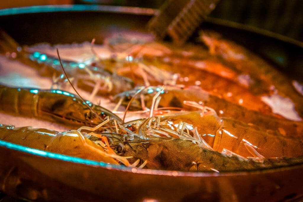 autumn in korea | jumbo prawns
