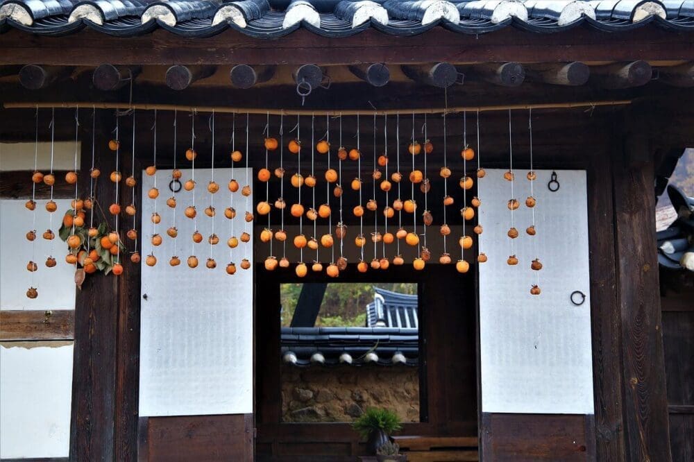 autumnn in korea | dried persimmon