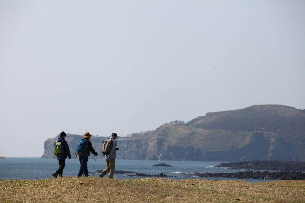 korea in november | jeju olle walking festival