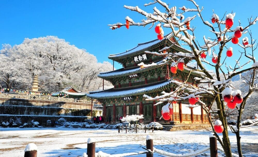 korea in december | geumsansa temple