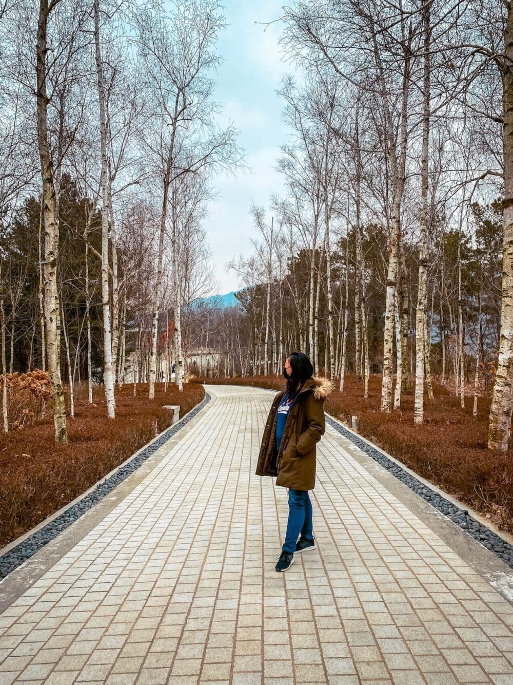 Visiting Korea in January 2026 | What I’ve Learned from Living in Seoul for 15 Years 34 korea in january | museum san