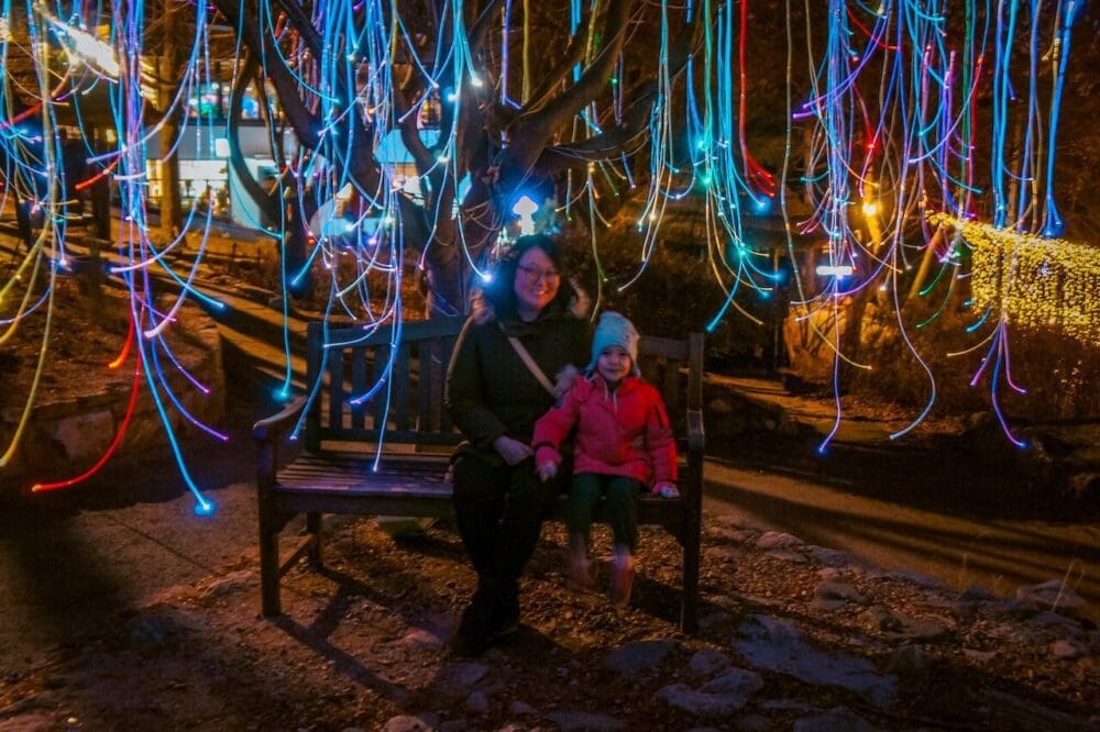 garden of morning calm lighting festival