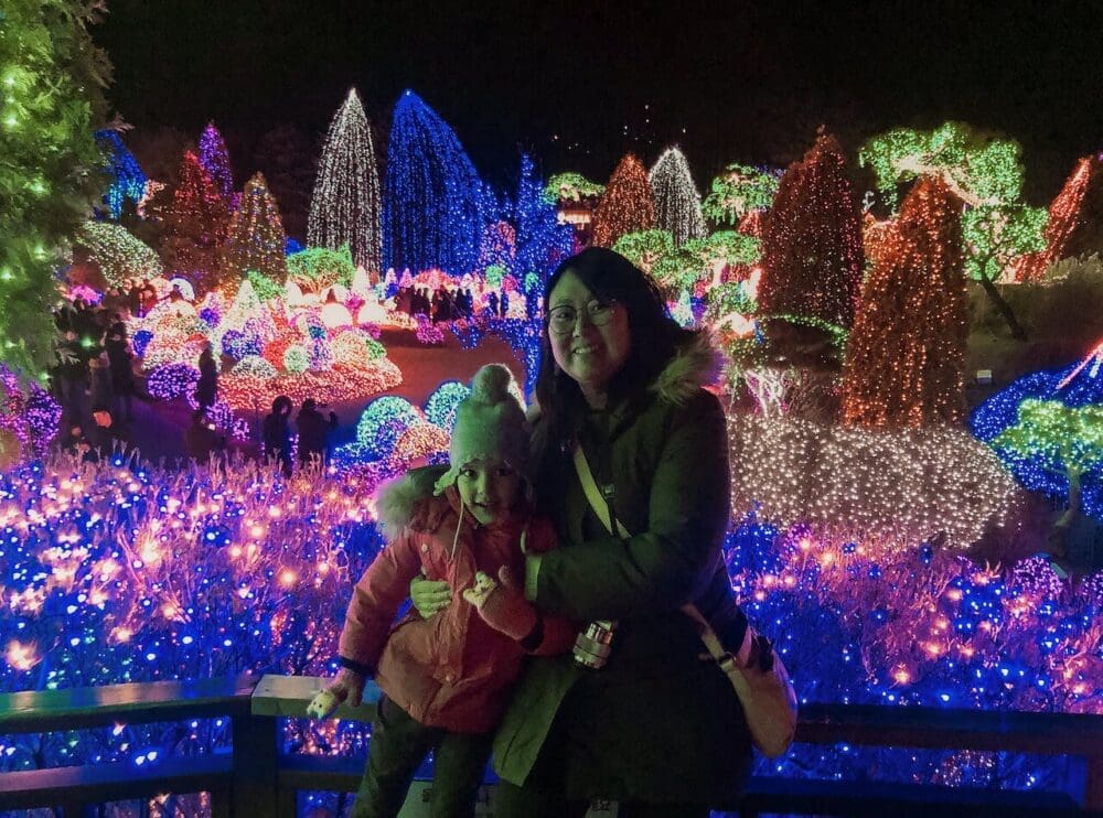 Garden of Morning Calm Lighting Festival in Winter