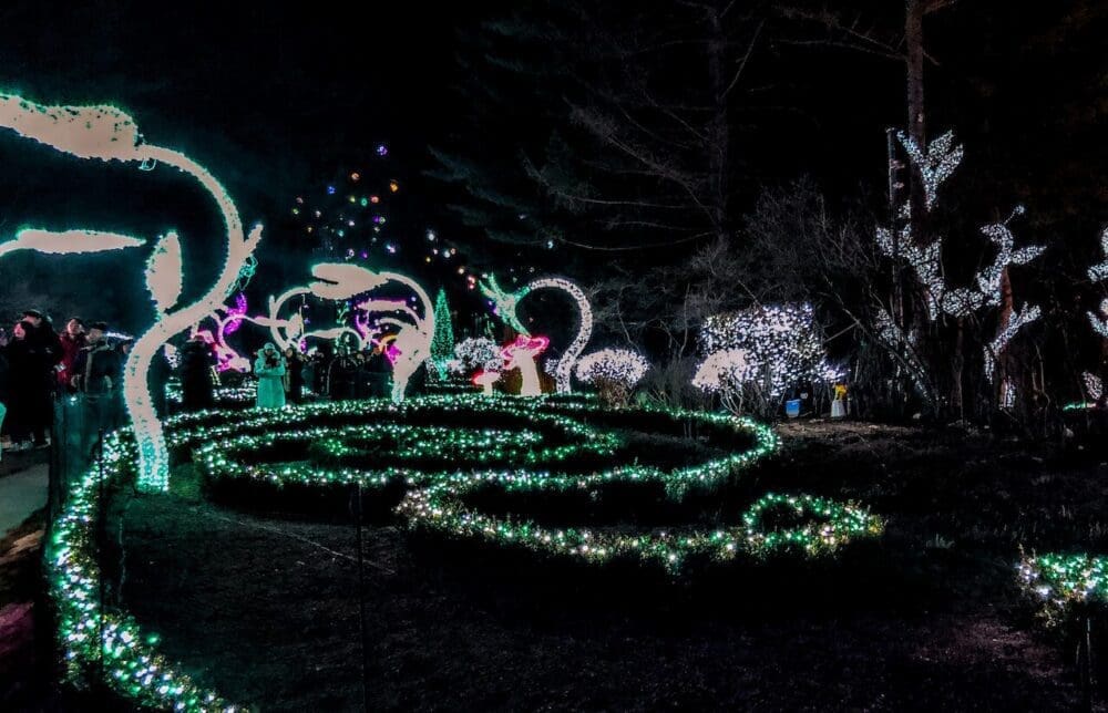garden of morning calm lighting festival winter