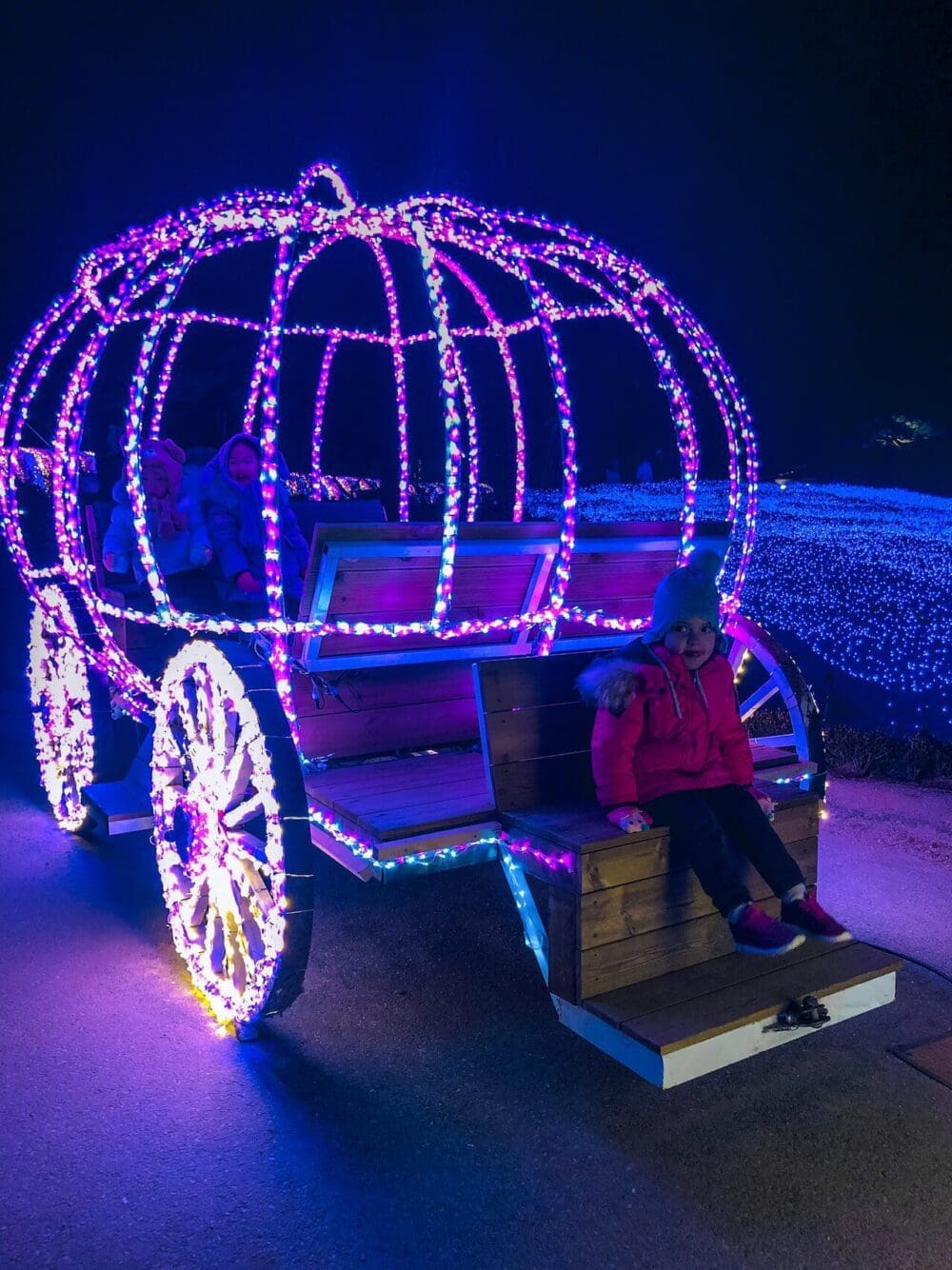 garden of morning calm lighting festival 