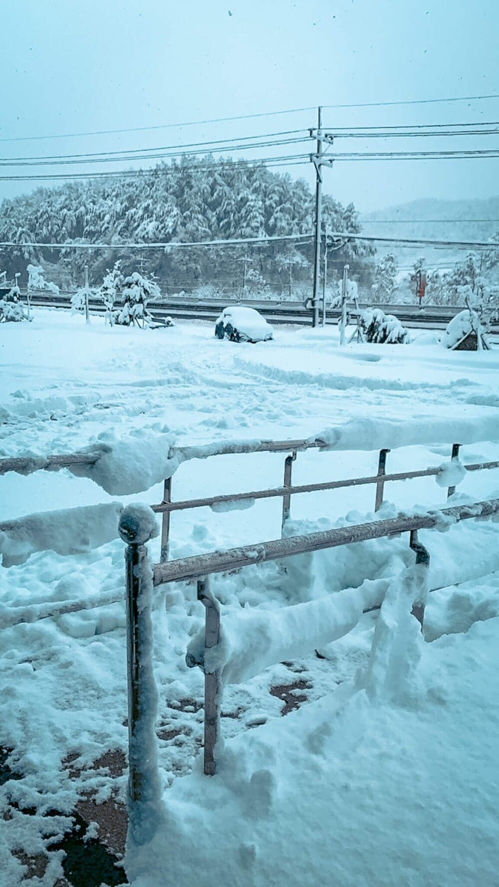 winter in korea | snowfall at yangyang