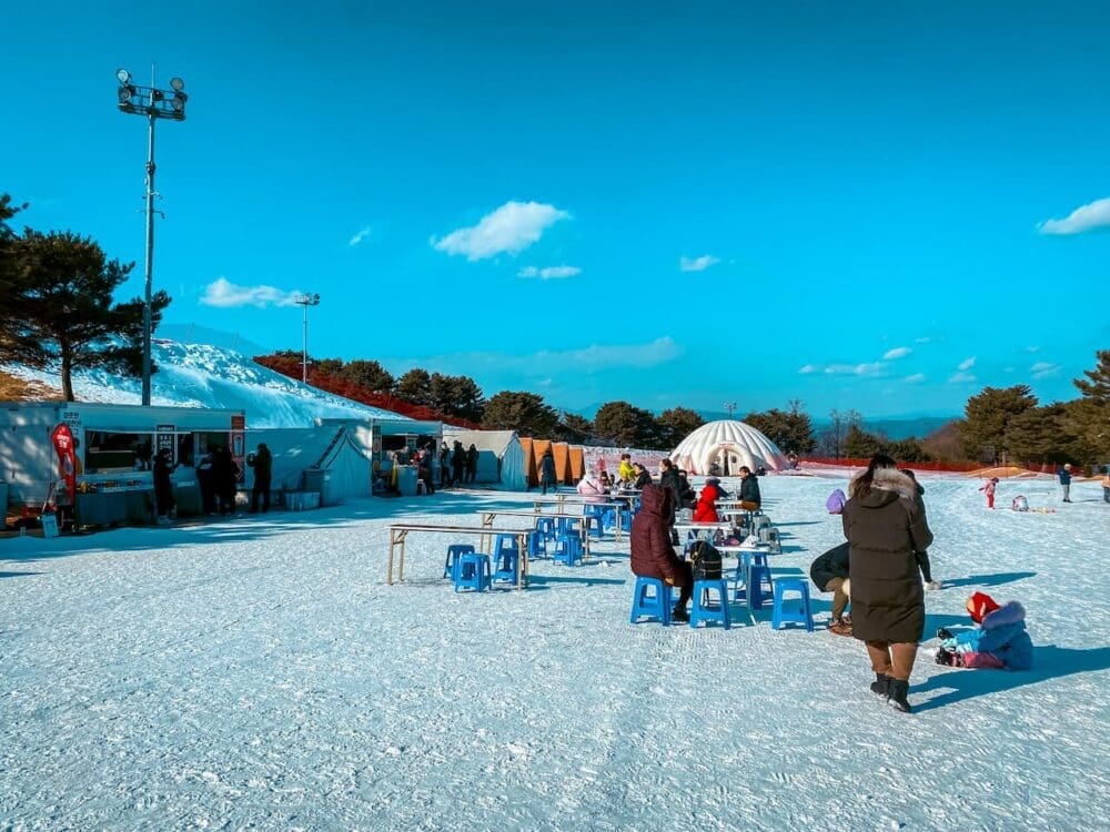 Vivaldi Park Snowy Land Guide 2025 / 26 | The Best Sled Park near Seoul for Winter 4 vivaldi park snowy land igloo village