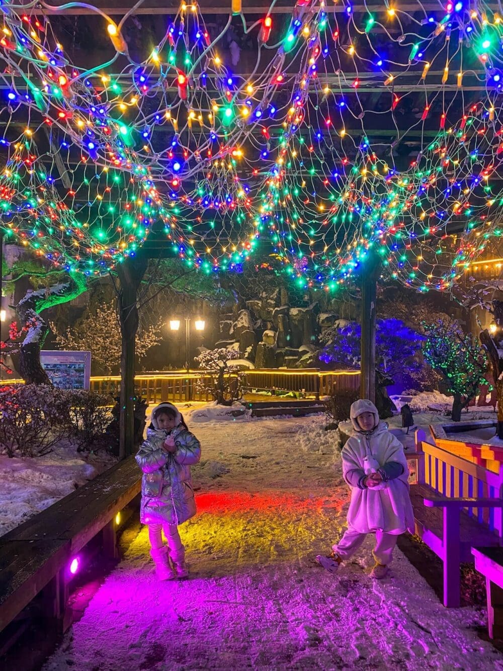 Christmas in Seoul 2026 | The 26 Best Festive Things to Do in Seoul for Christmas 28 christmas in korea | herb island light festival