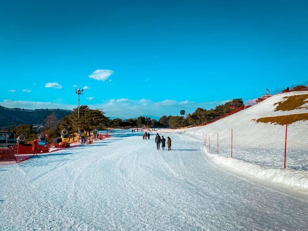 Vivaldi Park Snowy Land Guide 2025 / 26 | The Best Sled Park near Seoul for Winter 29 vivaldi park snowy land