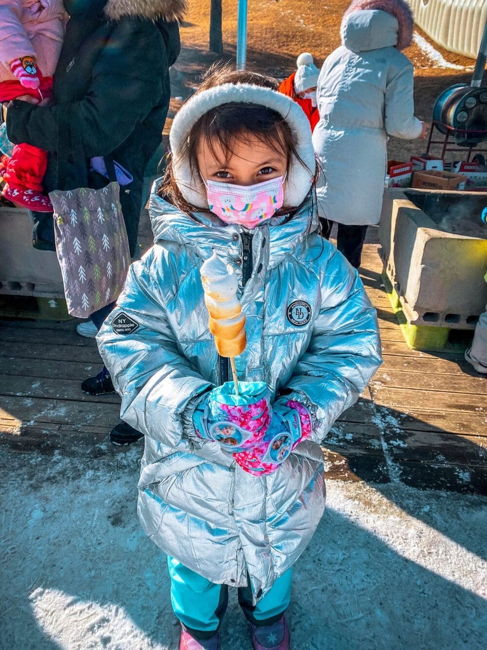 Vivaldi Park Snowy Land Guide 2025 / 26 | The Best Sled Park near Seoul for Winter 15 roasting marshmallows | Vivaldi Park Snowyland