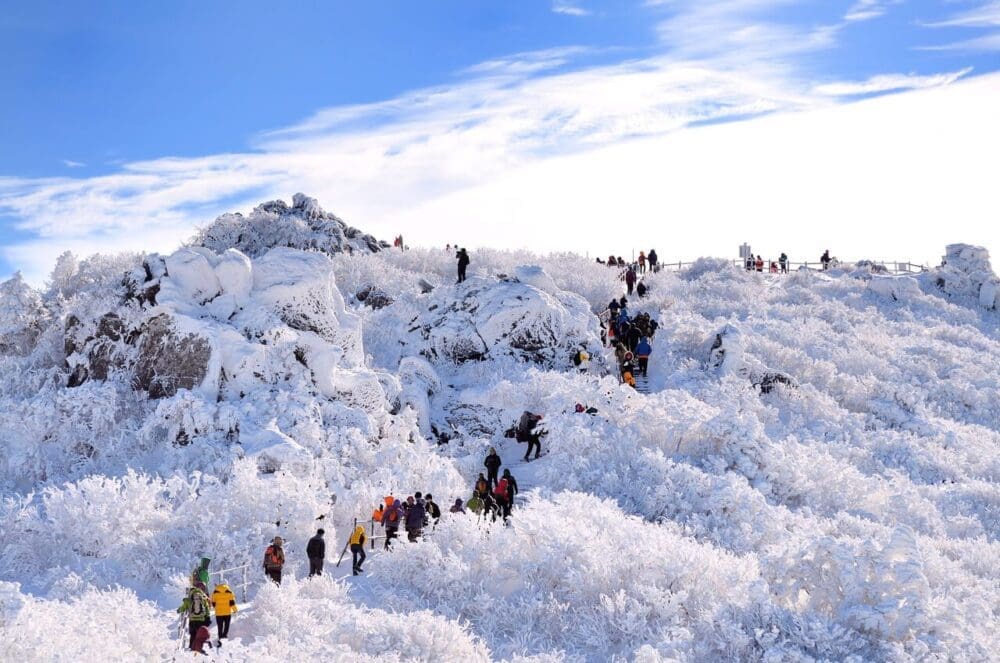 Visiting Korea in February 2026 | Winter Insights from a 15-Year Seoul Expat 38 february in south korea | Deogyusan Mountain