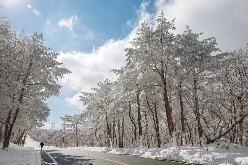 Visiting Korea in February 2026 | Winter Insights from a 15-Year Seoul Expat 10 korea in february | jeju island