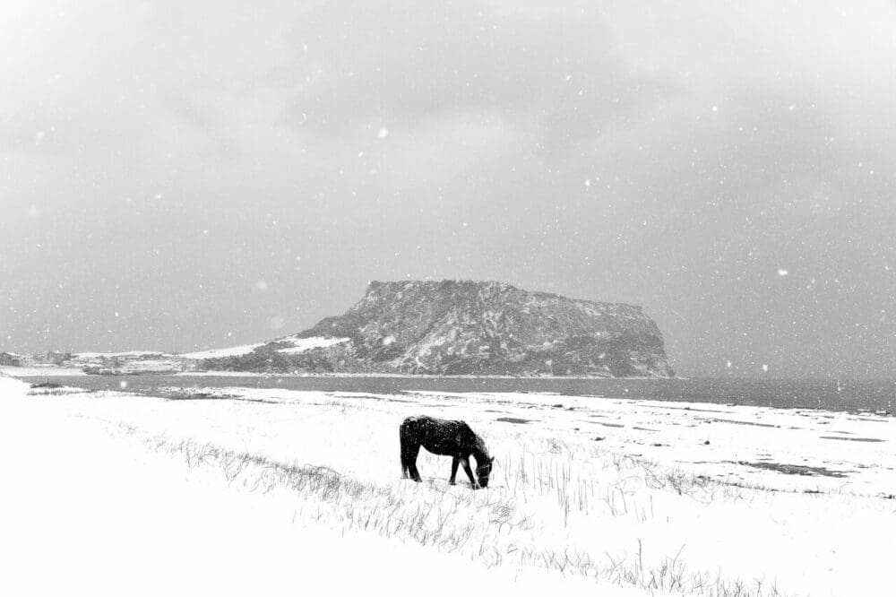 Visiting Korea in February 2026 | Winter Insights from a 15-Year Seoul Expat 11 south korea in february | seongsan ilchubong jeju island