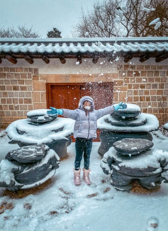 Visiting Korea in February 2026 | Winter Insights from a 15-Year Seoul Expat 7 february in south korea | deoksugung stone wall road