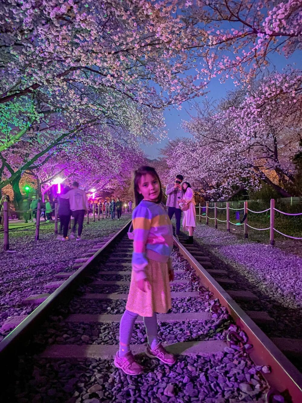 Spring in Korea 2026 | Travel Tips from 15 Years Living in Seoul 25 spring in korea | jinhae cherry blossom festival