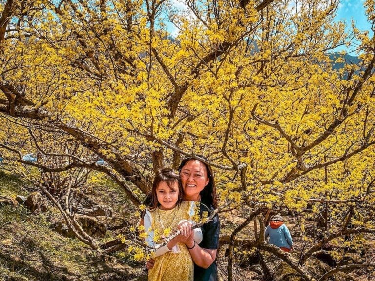 korea in march | gurye sansuyu village