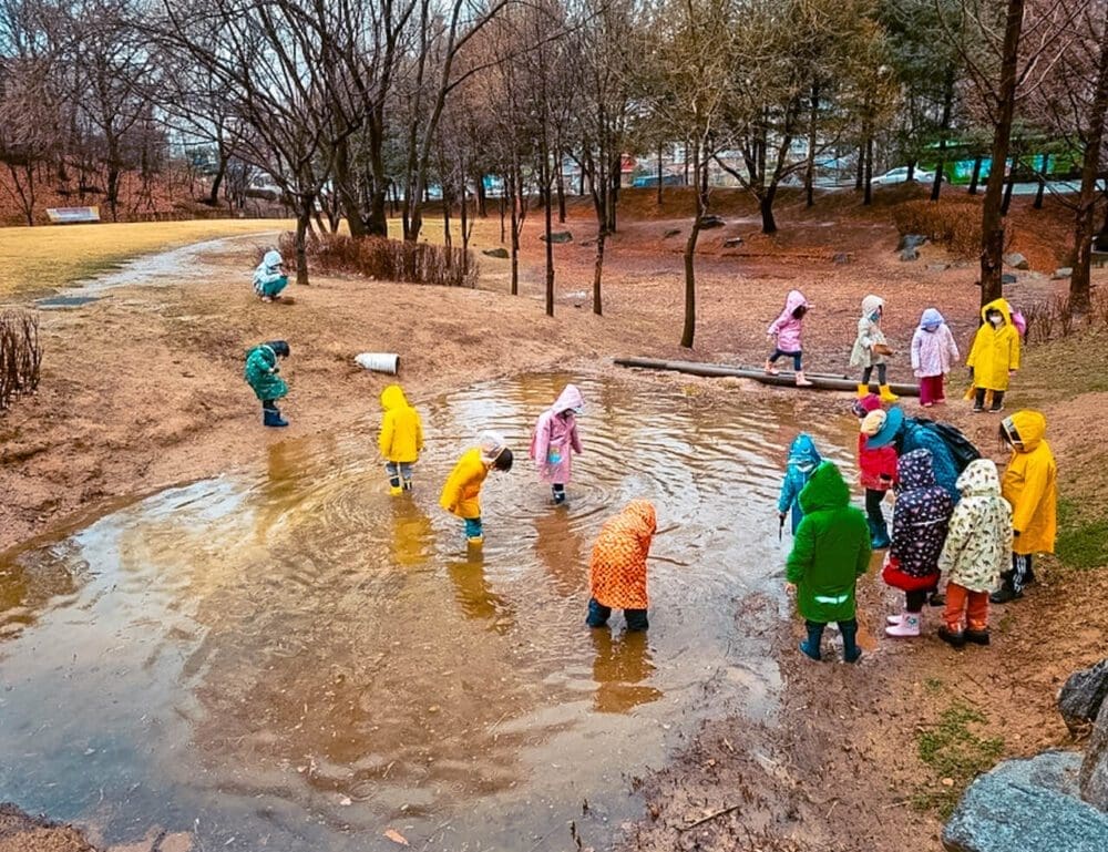 Exploring Korea in March 2026 | A Local's Insider Guide 39 korea in march | iljasan park
