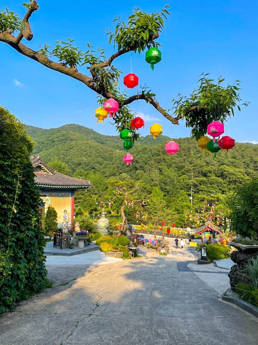 The 3,000 Buddhas at Waujeongsa Temple in Yongin Will Awaken Your Spirit 12 waujeongsa temple grounds