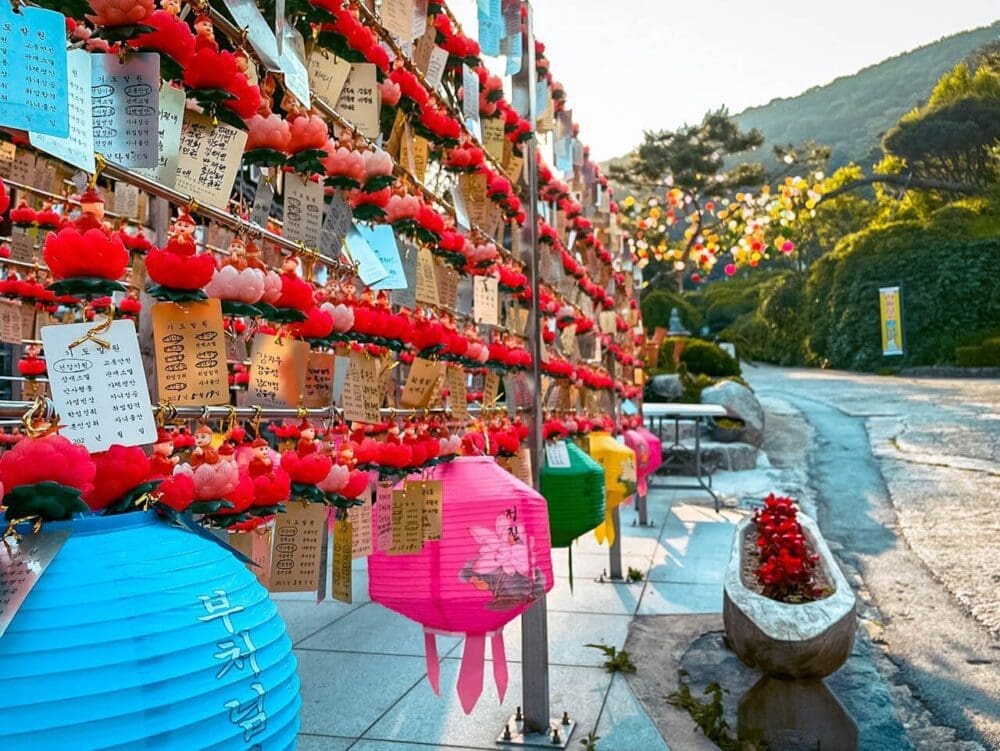 The 3,000 Buddhas at Waujeongsa Temple in Yongin Will Awaken Your Spirit 2 waujeongsa temple yongin