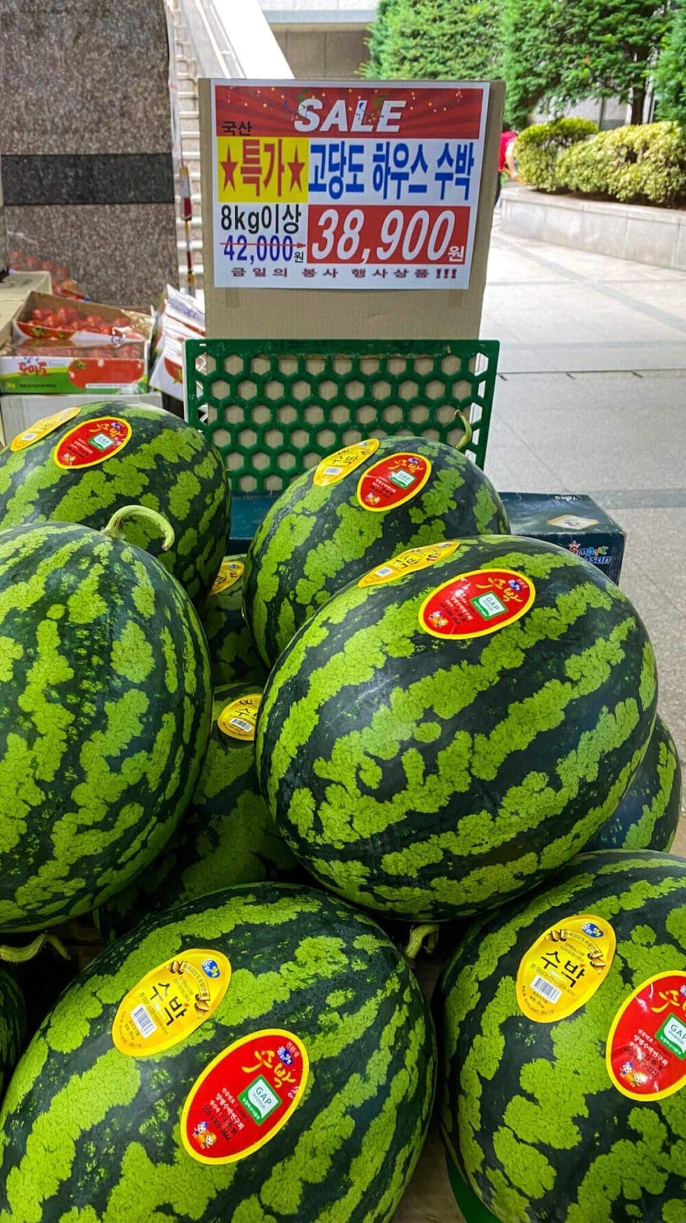 Korea in June 2026 Travel Guide | Lessons from 15 Years in Seoul 29 korea in june | watermelons