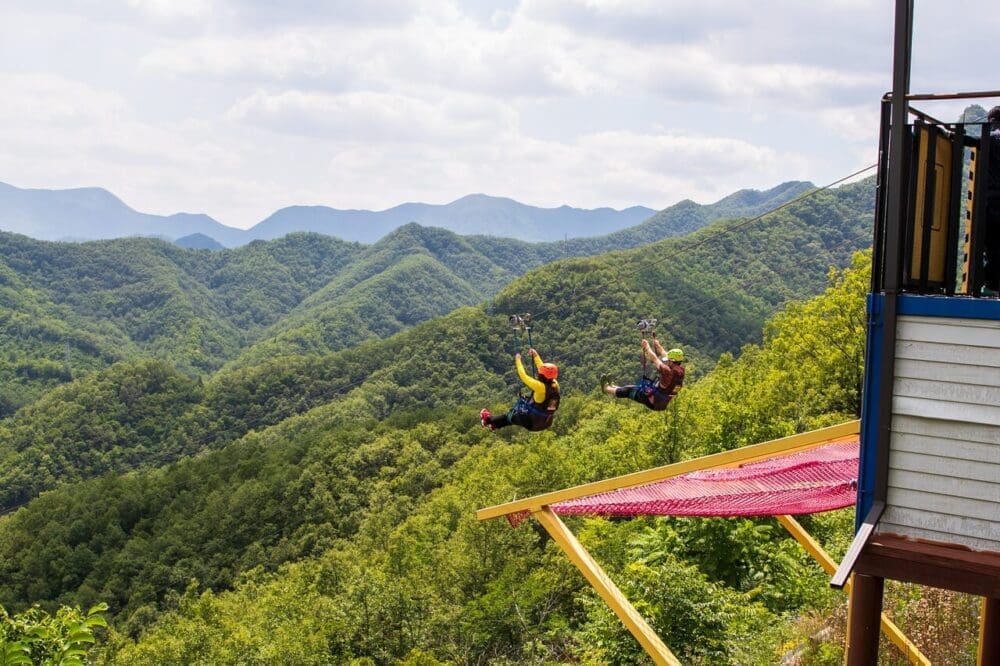 Mancheonha Skywalk | The Spectacular Danyang Landmark with 3 Soaring Wings 16 danyang | mancheonha skywalk zipwire