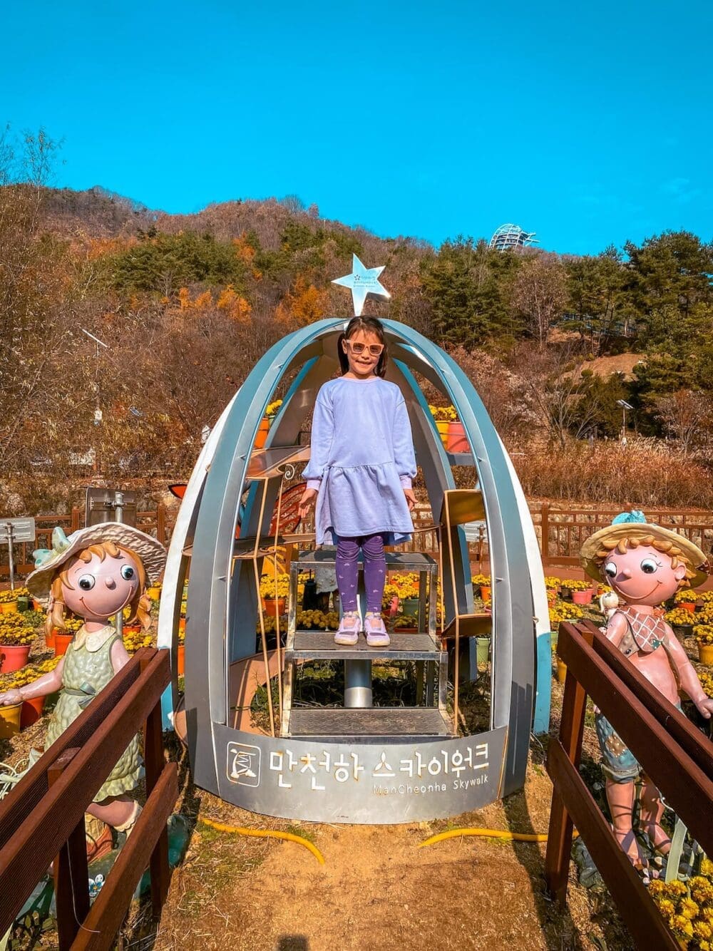 mancheonha skywalk | reed field