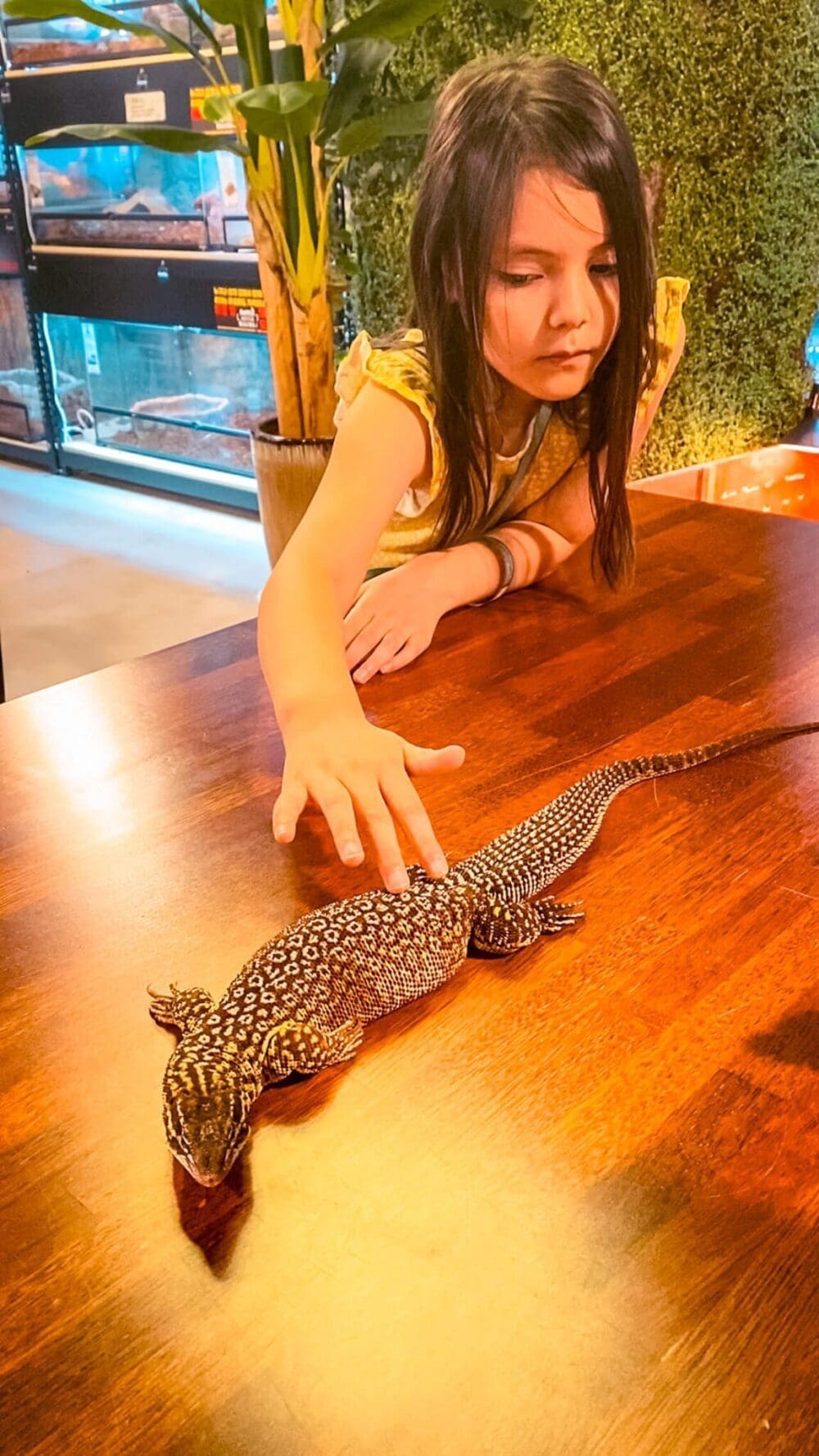 76 Delightful Things to do on a Rainy Day in Seoul (+ Heat and Pollution too!) 40 things to do indoors in seoul with kids | animal cafes