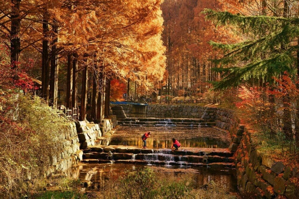 daejeon | jangtaesan recreational forest