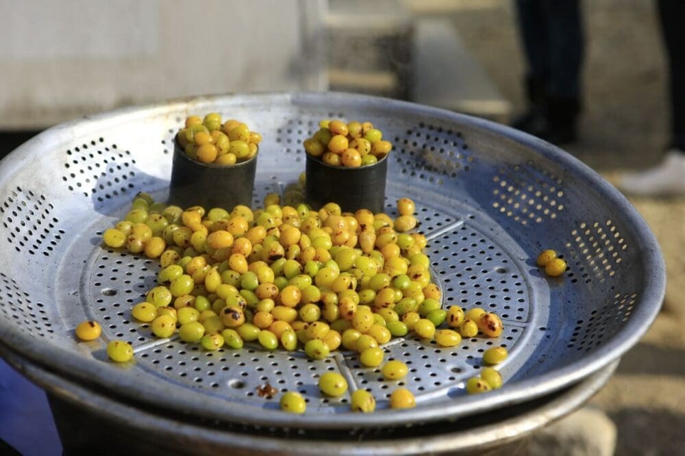 ginkgo berries in korea