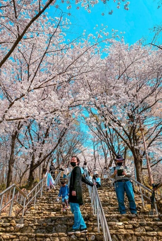 Exploring Korea in March 2026 | A Local's Insider Guide 5 korea in march | chimsanjeong pavilion