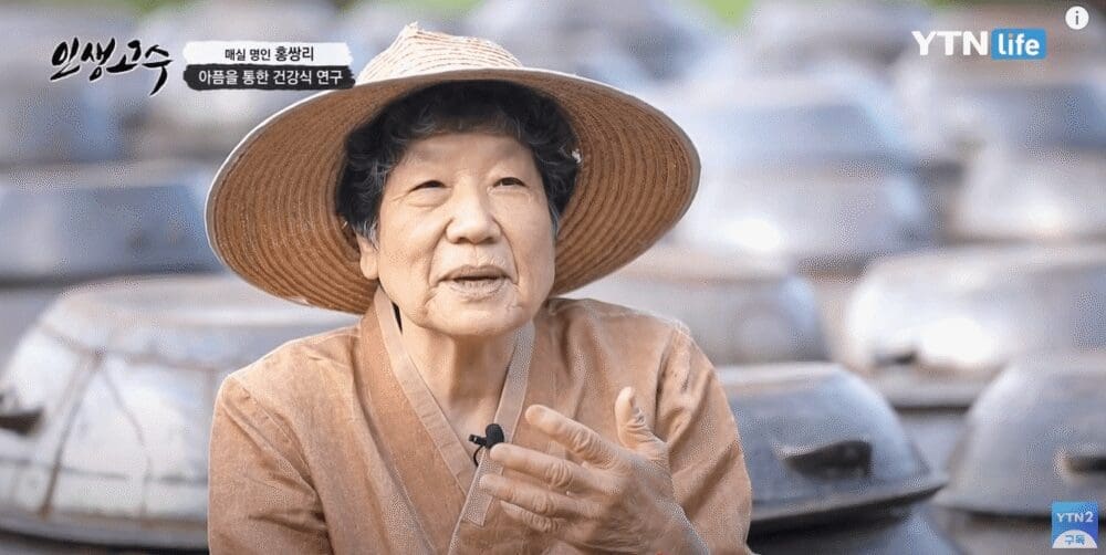 How to Visit the Gwangyang Maehwa Festival 2026 | Korea's First Spring Flowers! 14 Screenshot 2024 03 08 at 10.23.13 AM