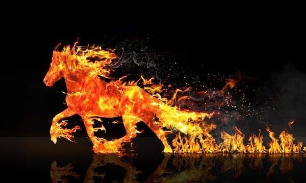 Seollal in Seoul 2026 | 11 Fabulous Things to do for Korean Lunar New Year 14 fire horse