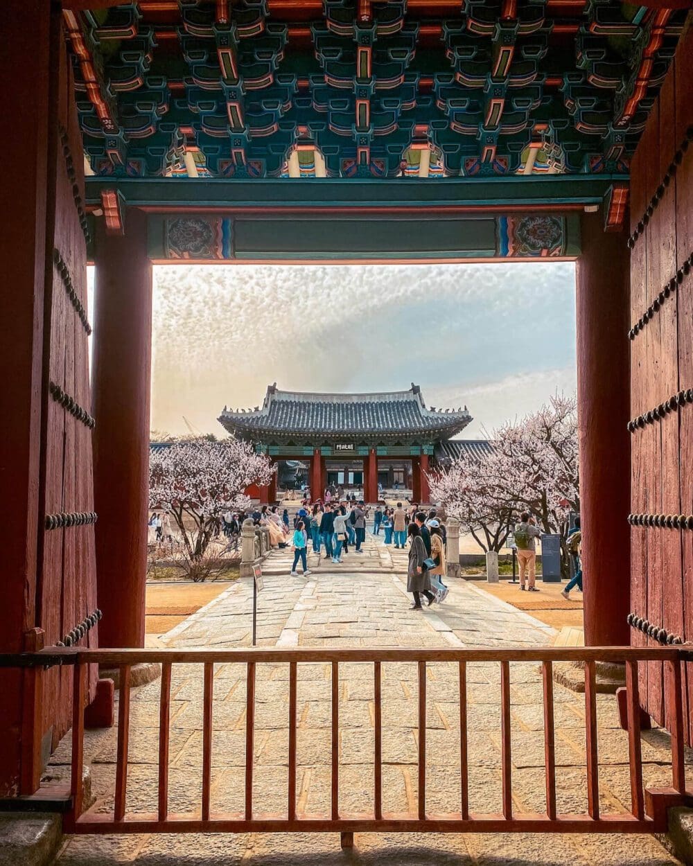Seoul at Night | 29 Amazing Things for Insomniacs to do After Dark 15 cherry blossoms in seoul | changgyeonggung palace