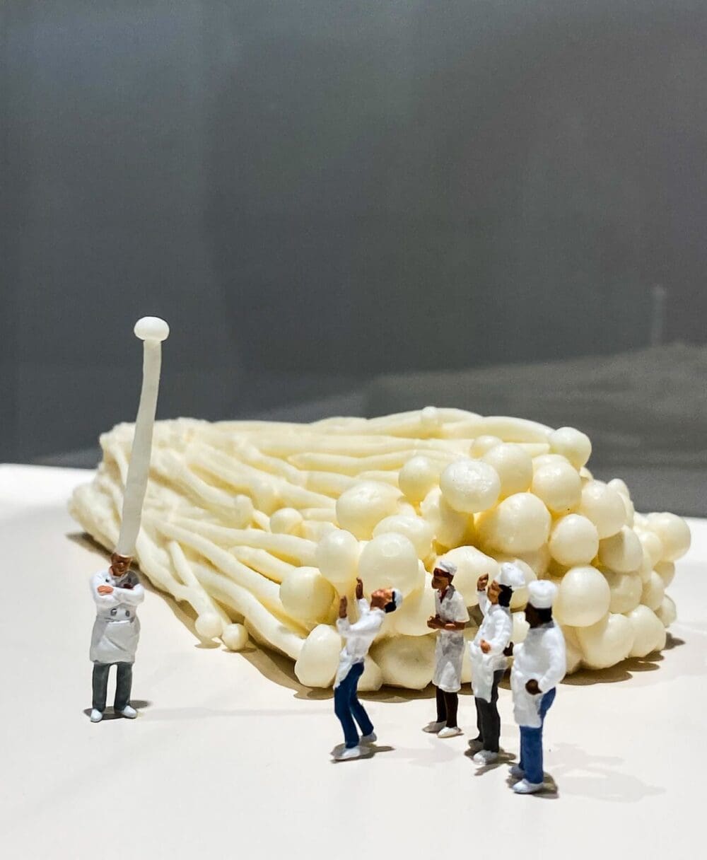 < Miniature Life ・ Mitate Mind Review > Inside Tatsuya Tanaka's Witty and Surprising World 3 tatsuya tanaka | mitate mind at mpx gallery