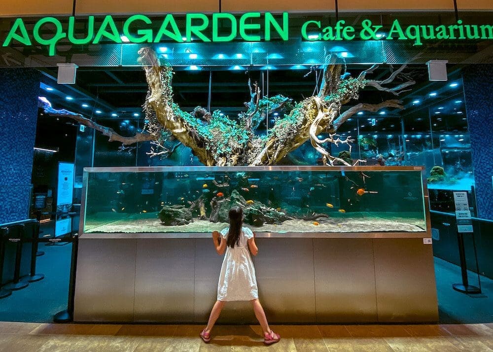 The Luxurious 18-Step Korean Head Spa at Eco Jardin in Seoul | Personal Experience & Review 34 lotte world mall | aquagarden cafe and aquarium in seoul