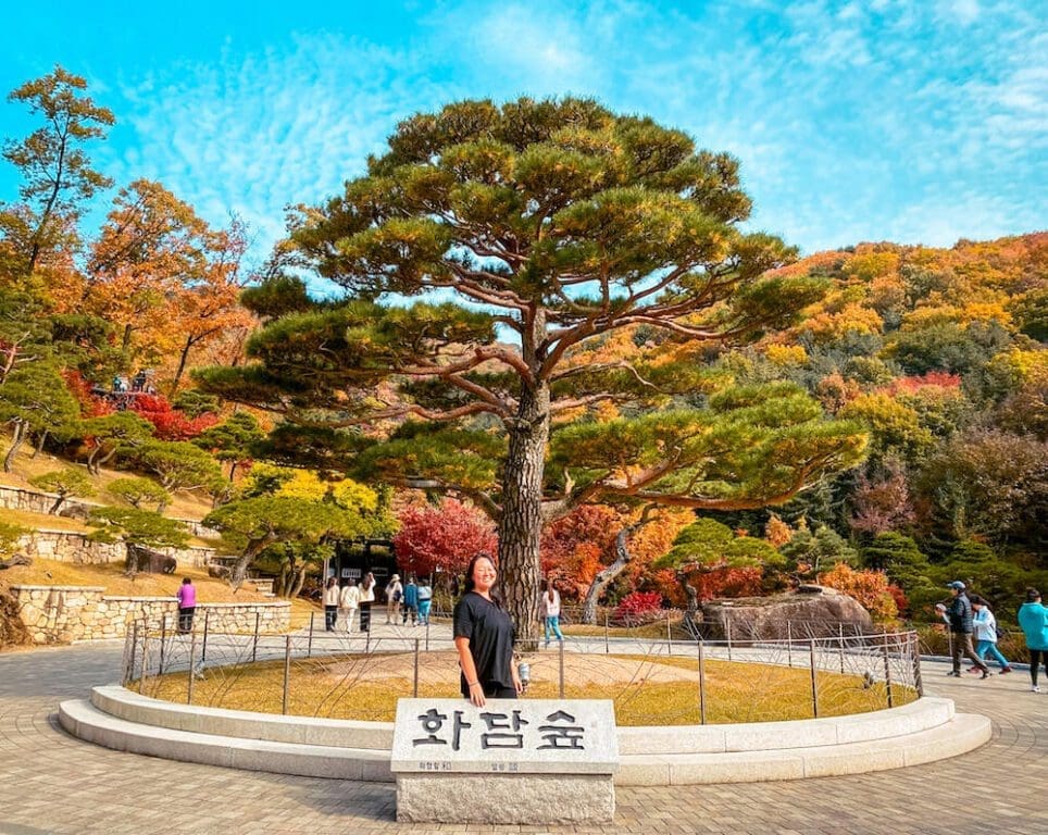 Hwadam Botanic Garden is a 4-Season Beauty, but Autumn is TRULY Dazzling 1 hwadam botanic garden in korea