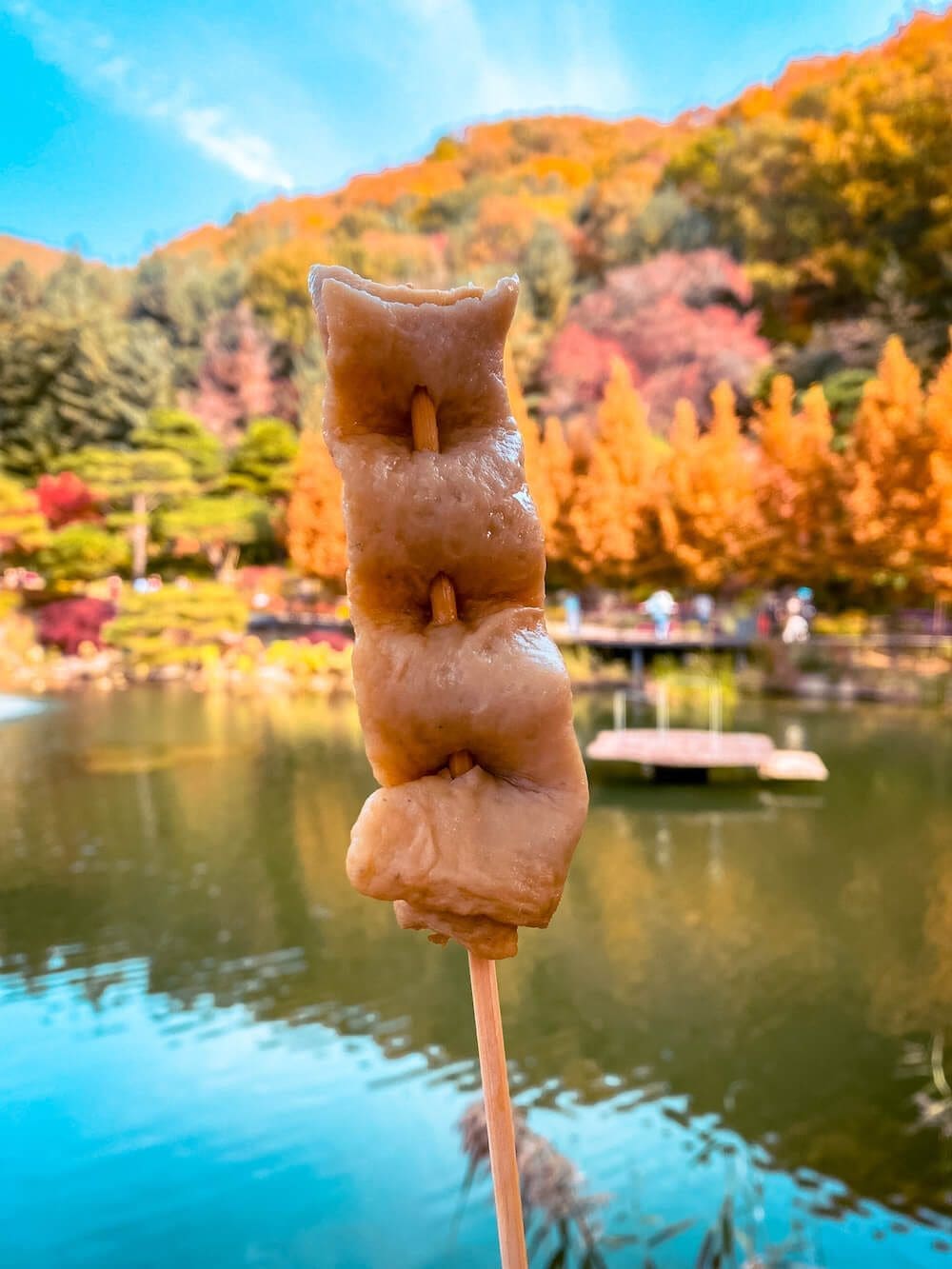 Hwadam Botanic Garden is a 4-Season Beauty, but Autumn is TRULY Dazzling 5 food at hwadam forest