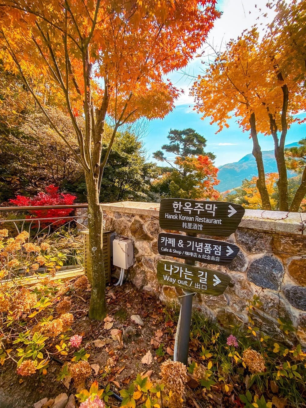 Hwadam Botanic Garden is a 4-Season Beauty, but Autumn is TRULY Dazzling 15 hwadam botanic garden korea