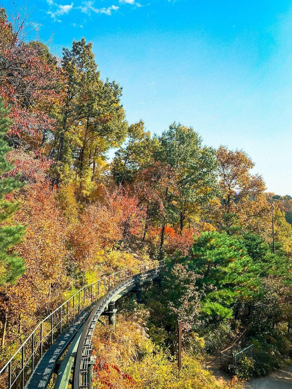 Hwadam Botanic Garden is a 4-Season Beauty, but Autumn is TRULY Dazzling 31 Hwadam botanic garden monorail