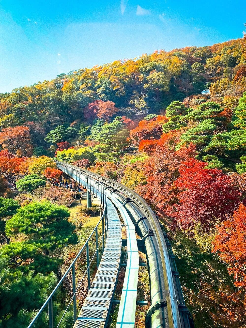 Hwadam Botanic Garden is a 4-Season Beauty, but Autumn is TRULY Dazzling 17 hwadam botanic garden view from monorail