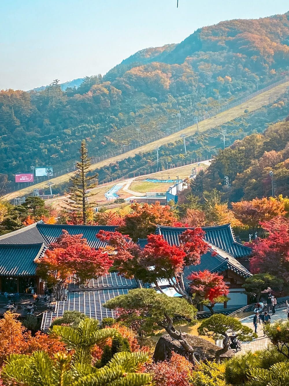 Hwadam Botanic Garden is a 4-Season Beauty, but Autumn is TRULY Dazzling 34 hwadam forest in autumn
