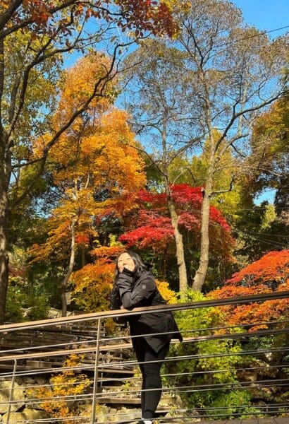 Autumn in Seoul | 17 Spectacular Places to Visit in Seoul during Autumn 26 autumn in seoul | hwadam botanic garden korea